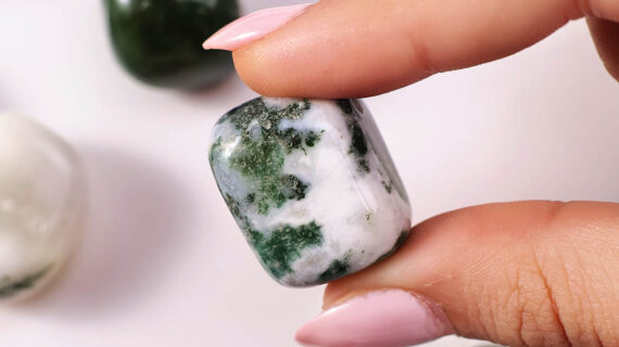 Tree Agate Tumble Stones