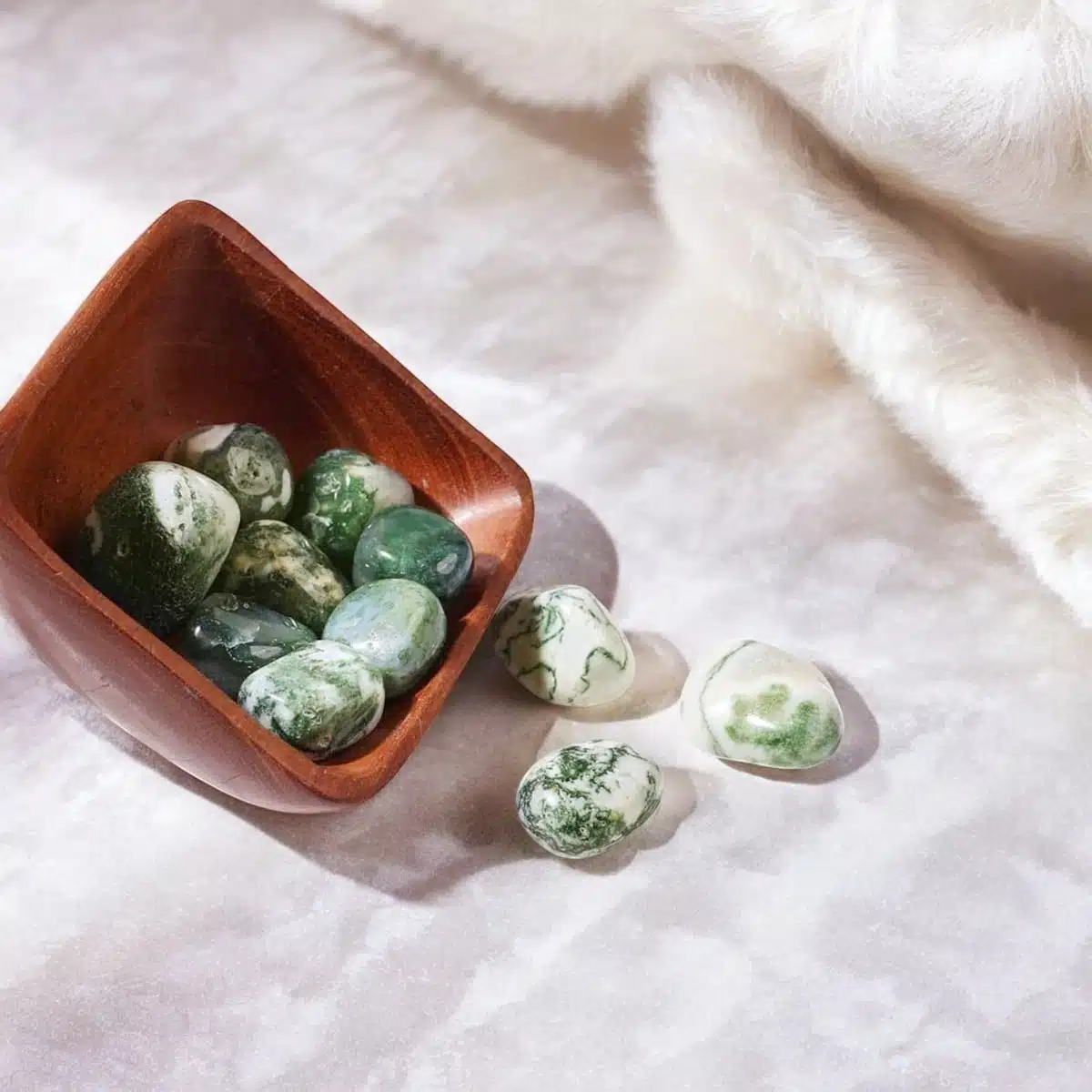 Tree-Agate-Tumble-Stones-Shubhanjali-2-Photoroom