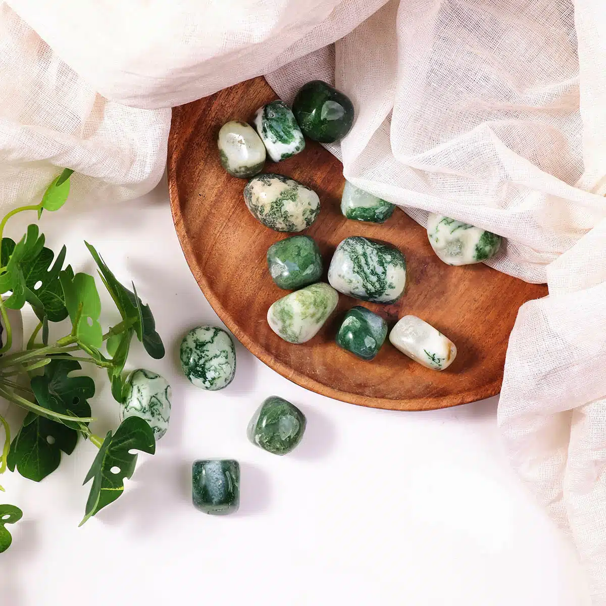 Tree Agate Tumble Stones-Shubhanjali (3) Shop Crystal Tree Agate Tumble Stones