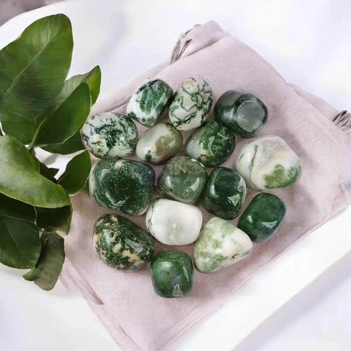 Tree-Agate-Tumble-Stones-Shubhanjali-4-Photoroom