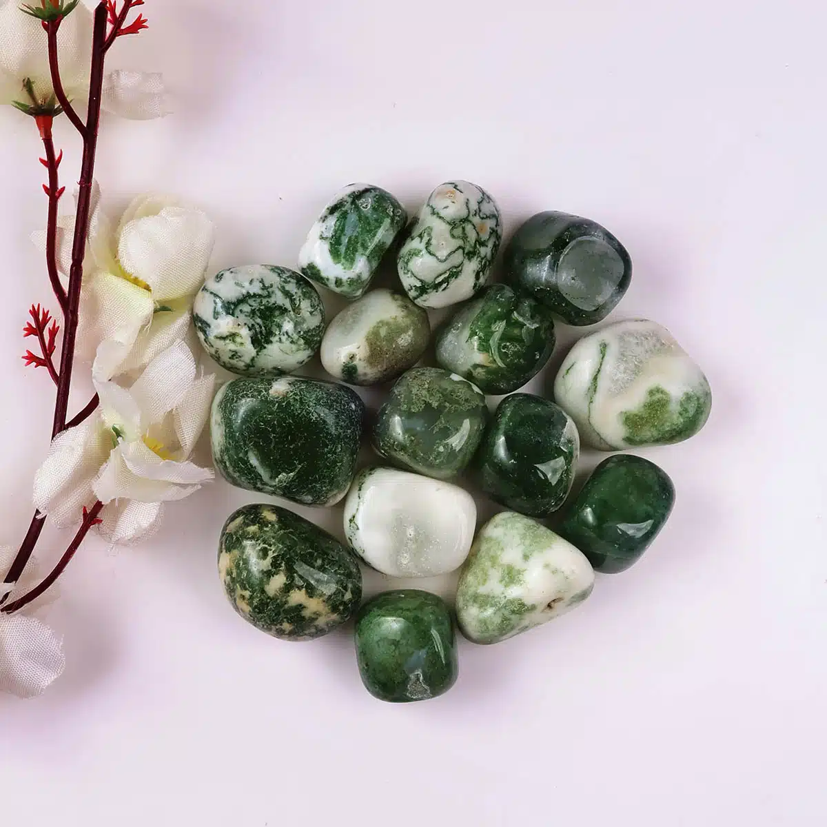 Tree Agate Tumble Stones-Shubhanjali (4) Shop Crystal Tree Agate Tumble Stones