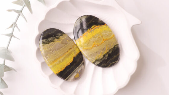 Bumble Bee Jasper Cabochon