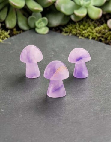 Amethyst Mushroom-Shubhanjali Store
