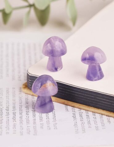 Amethyst Mushroom-Shubhanjali Store