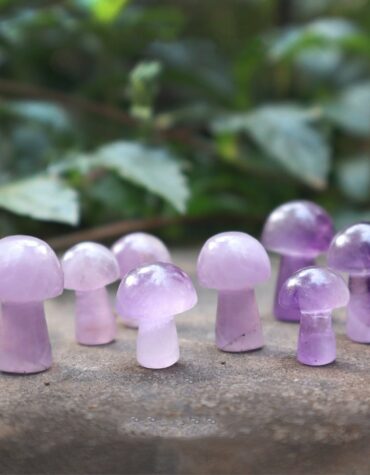 Amethyst Mushroom