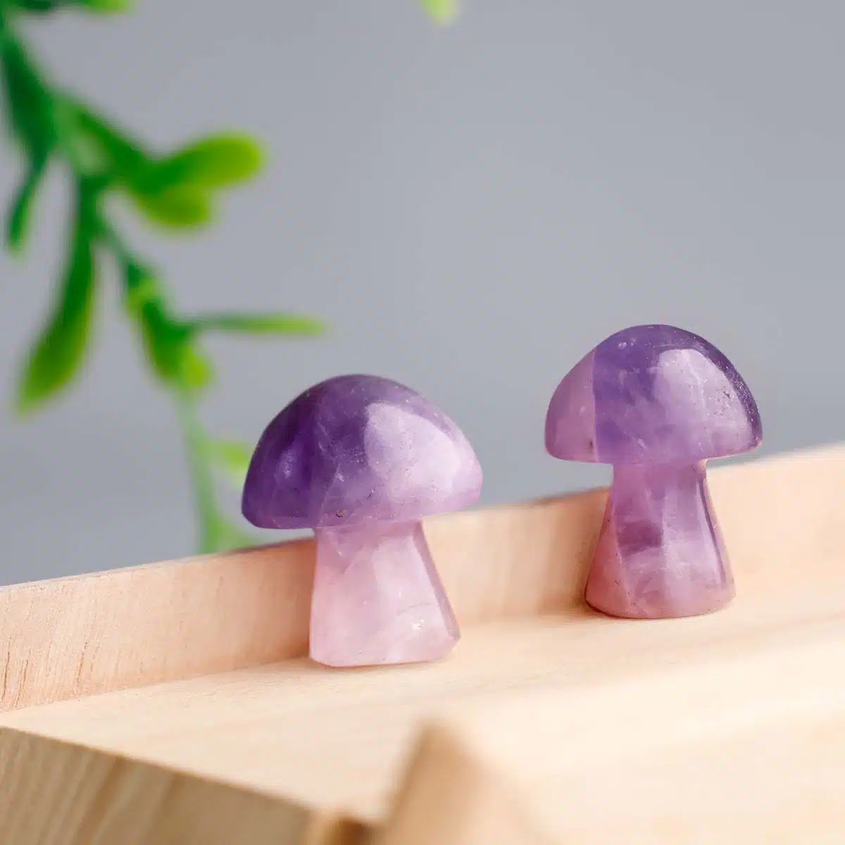 Shubhanjali-Amethyst Mushroom Shop Amethyst Mushroom