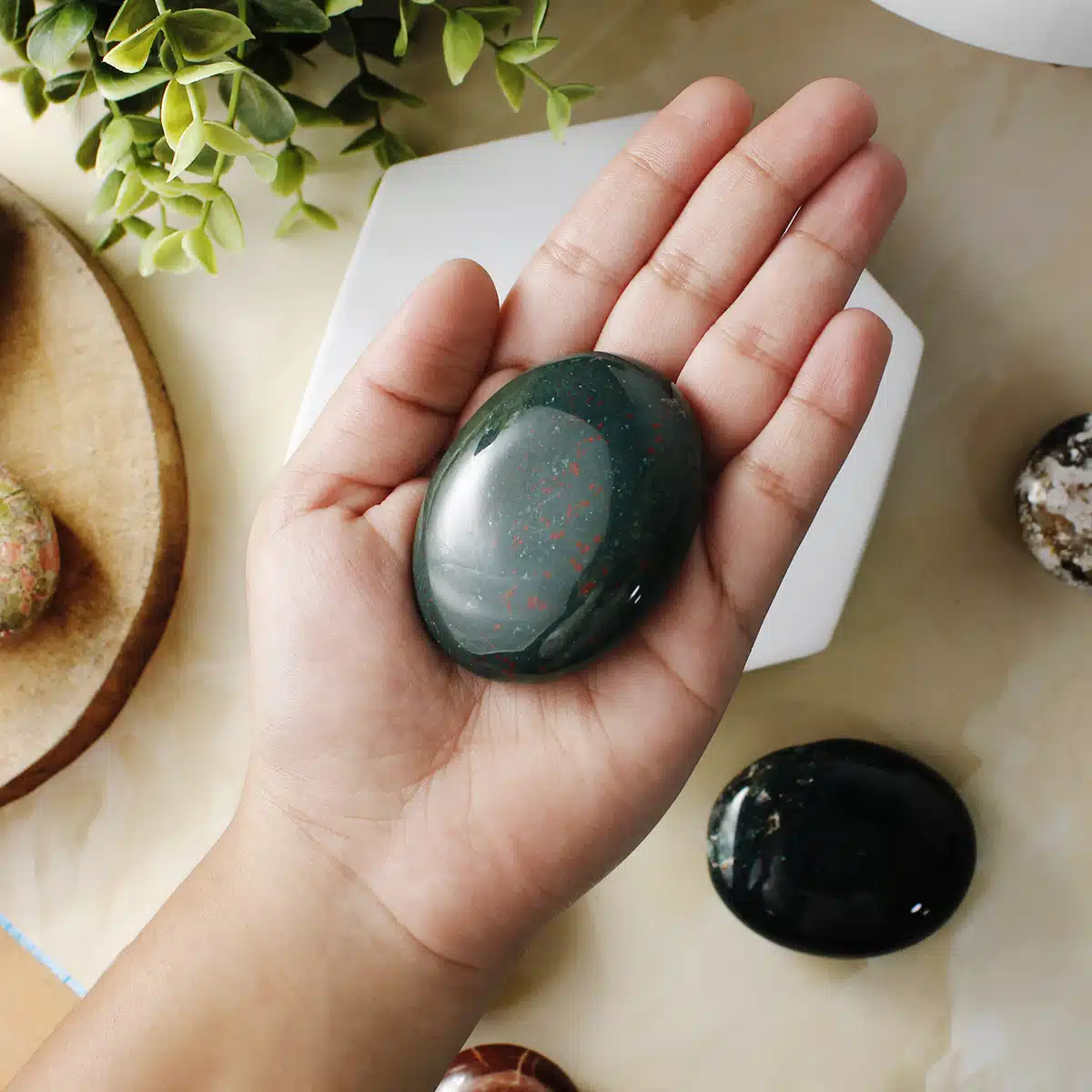 Shubhanjali-Blood Stone Palm Stone Shop Blood Stone Crystal Palm Stone