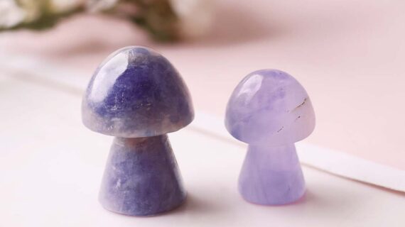 Amethyst Mushroom