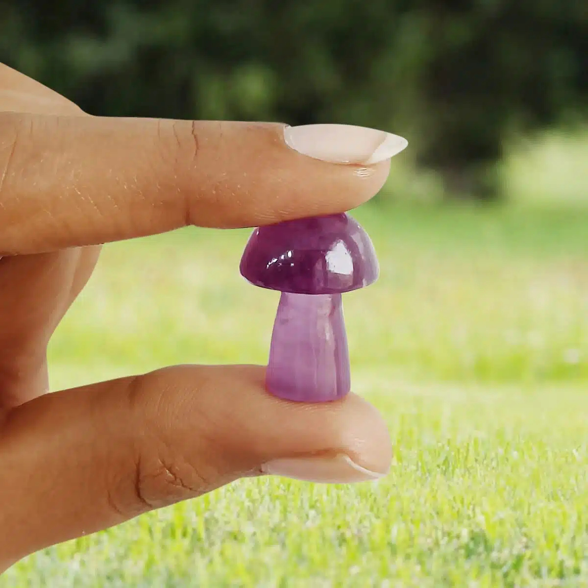 amethyst-mushroom (2) amethyst-mushroom