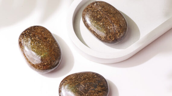 Bronzite Palm Stone