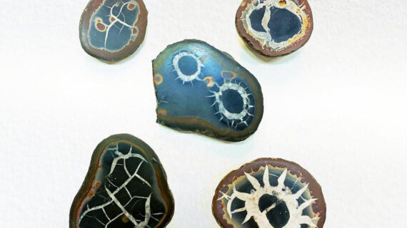 Black Septarian Cabochon