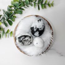 Shop Crystal Moonstone Stone Egg