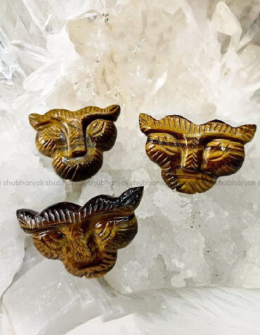 Tiger-Eye-Tiger-Face