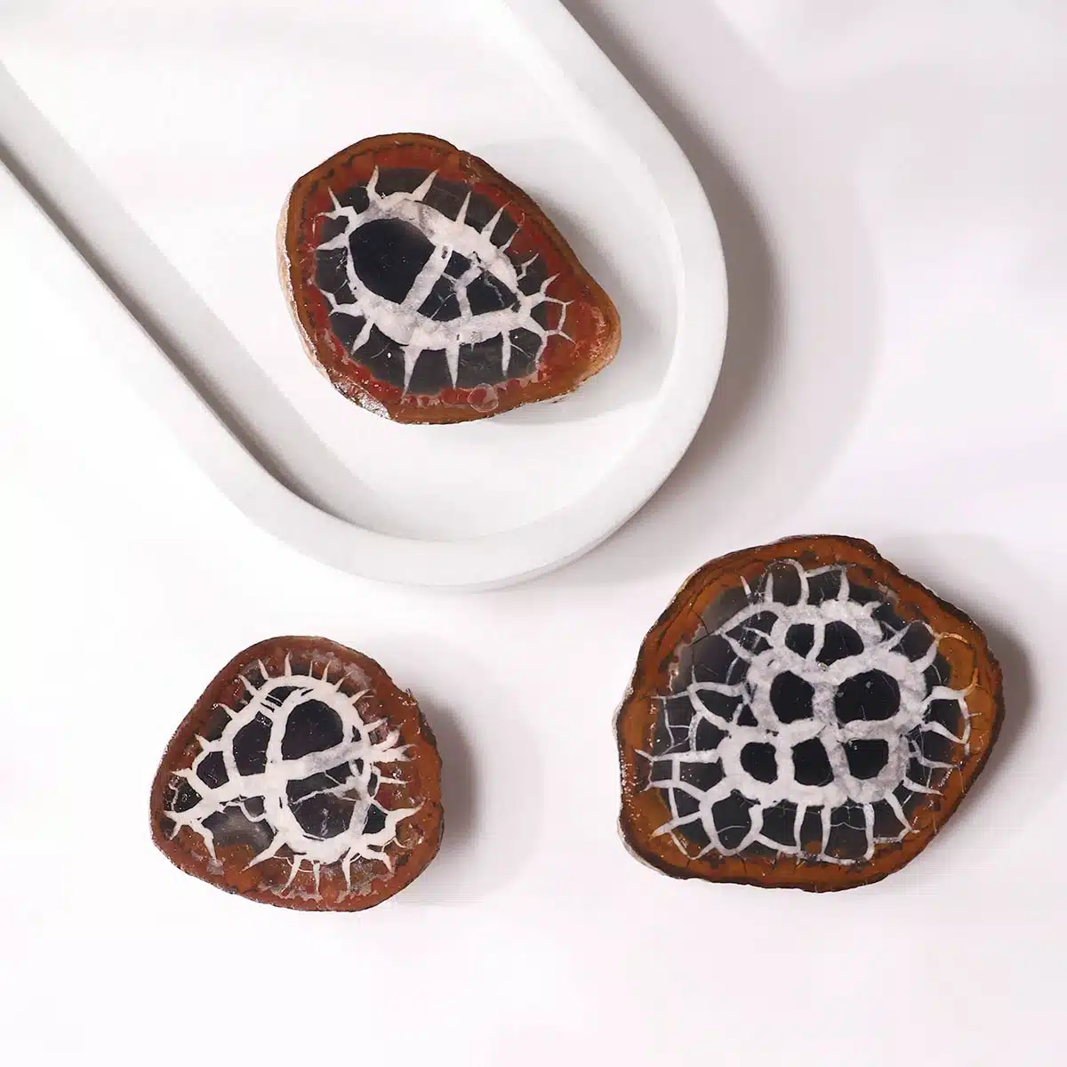 black-septarian-slab (1)