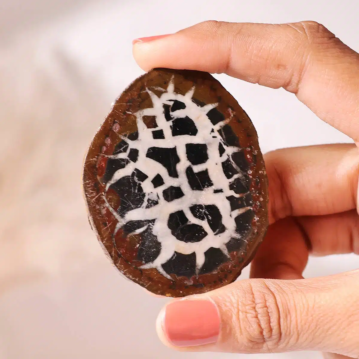 black-septarian-slab (3)
