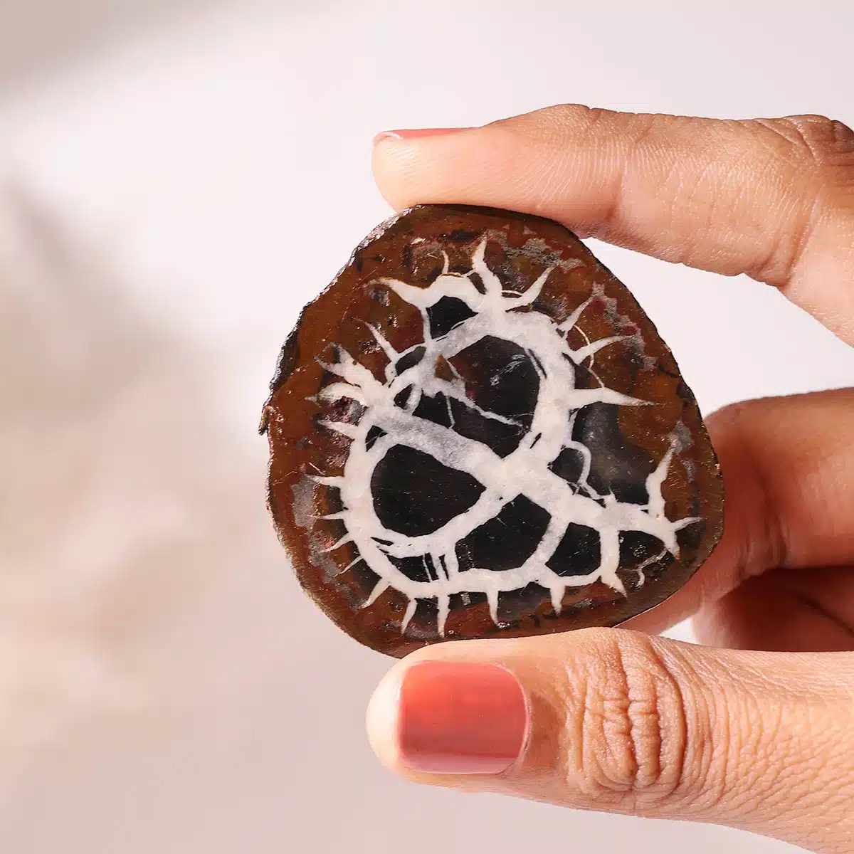 black-septarian-slab (4)