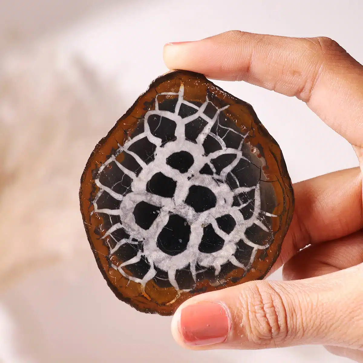 black-septarian-slab (5)