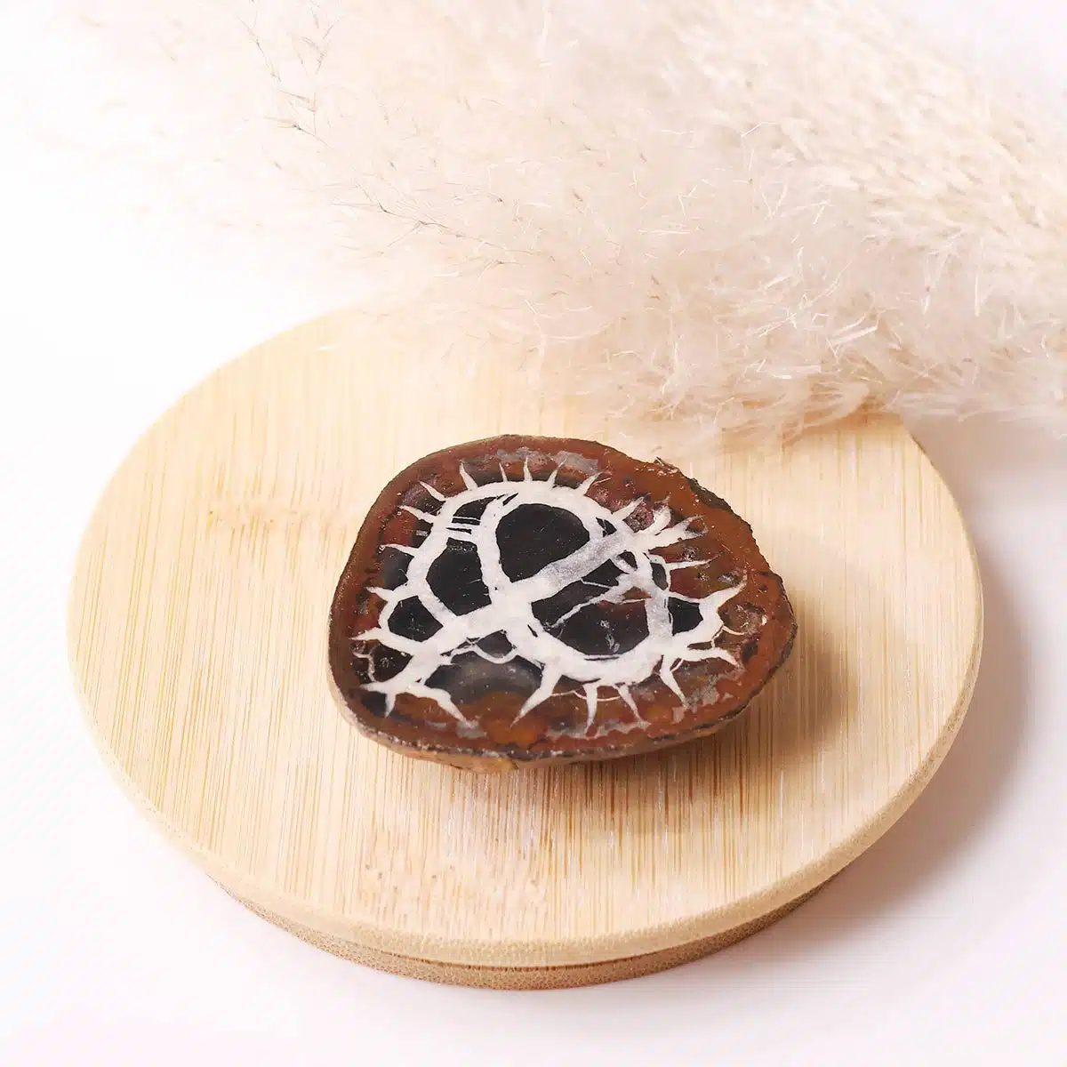 black-septarian-slab (6)