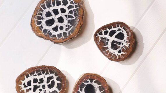 Black Septarian One Side Polished Slab