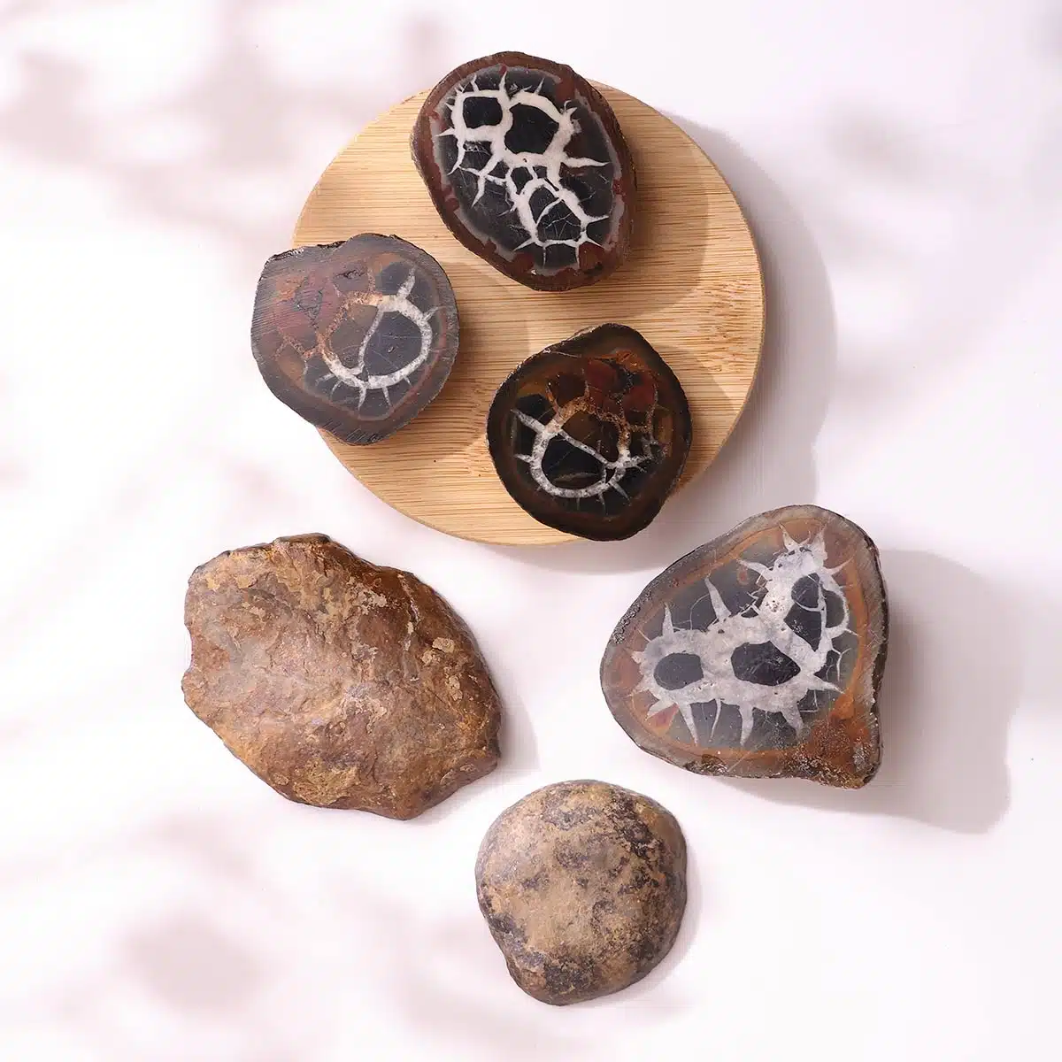 black-septarian-slab