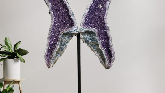 Amethyst Crystal Big Butterfly Geode, Amethyst Wings, Brazillian Amethyst Cluster