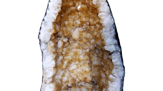 Citrine Geode from Brazil, Citrine Crystal Geode with Stalactite Flowers