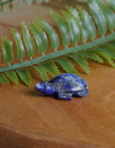 Lapis-Lazuli-Tortoise