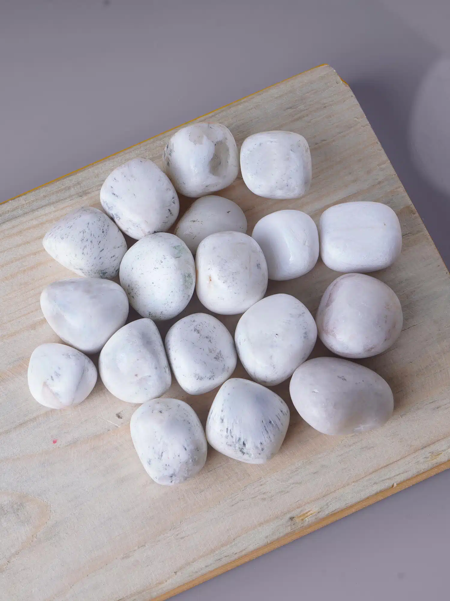 Shubhanjali-Scolocite