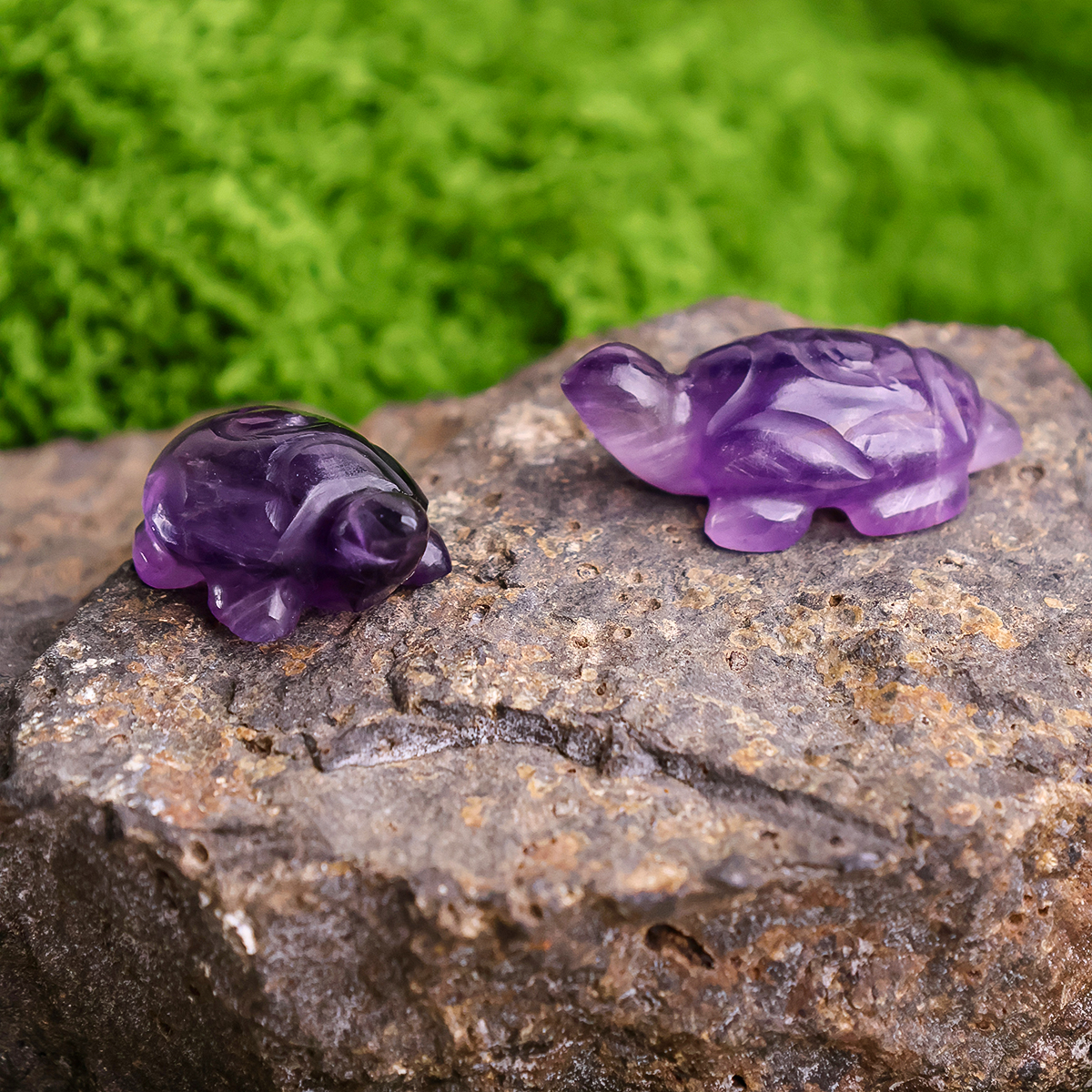 Untitled-1 amethyst small tortoise plain