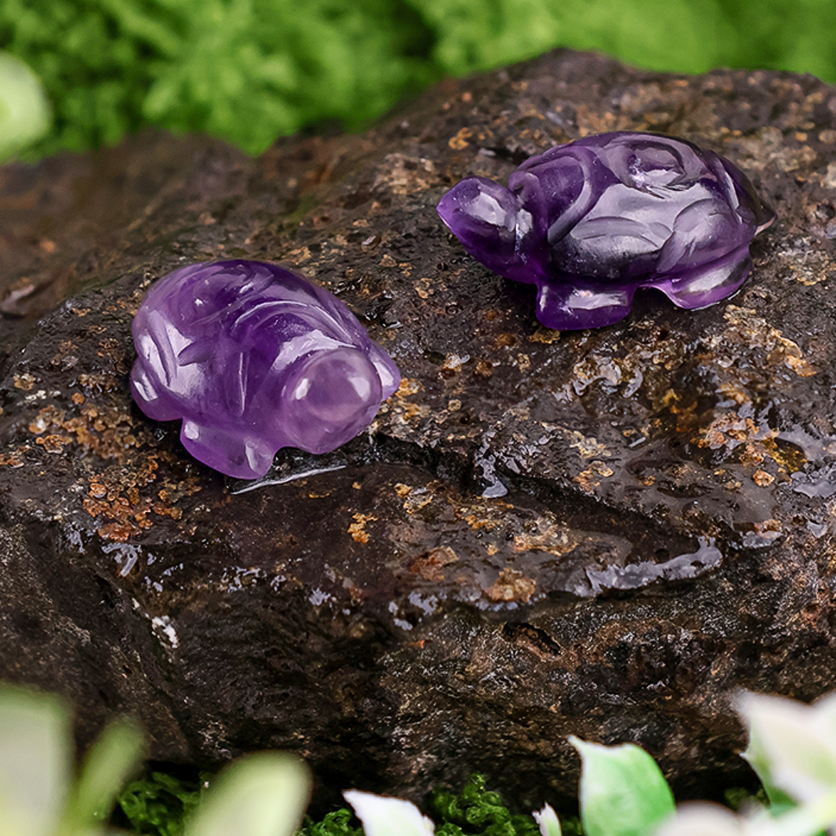 Untitled-2 amethyst small tortoise plain