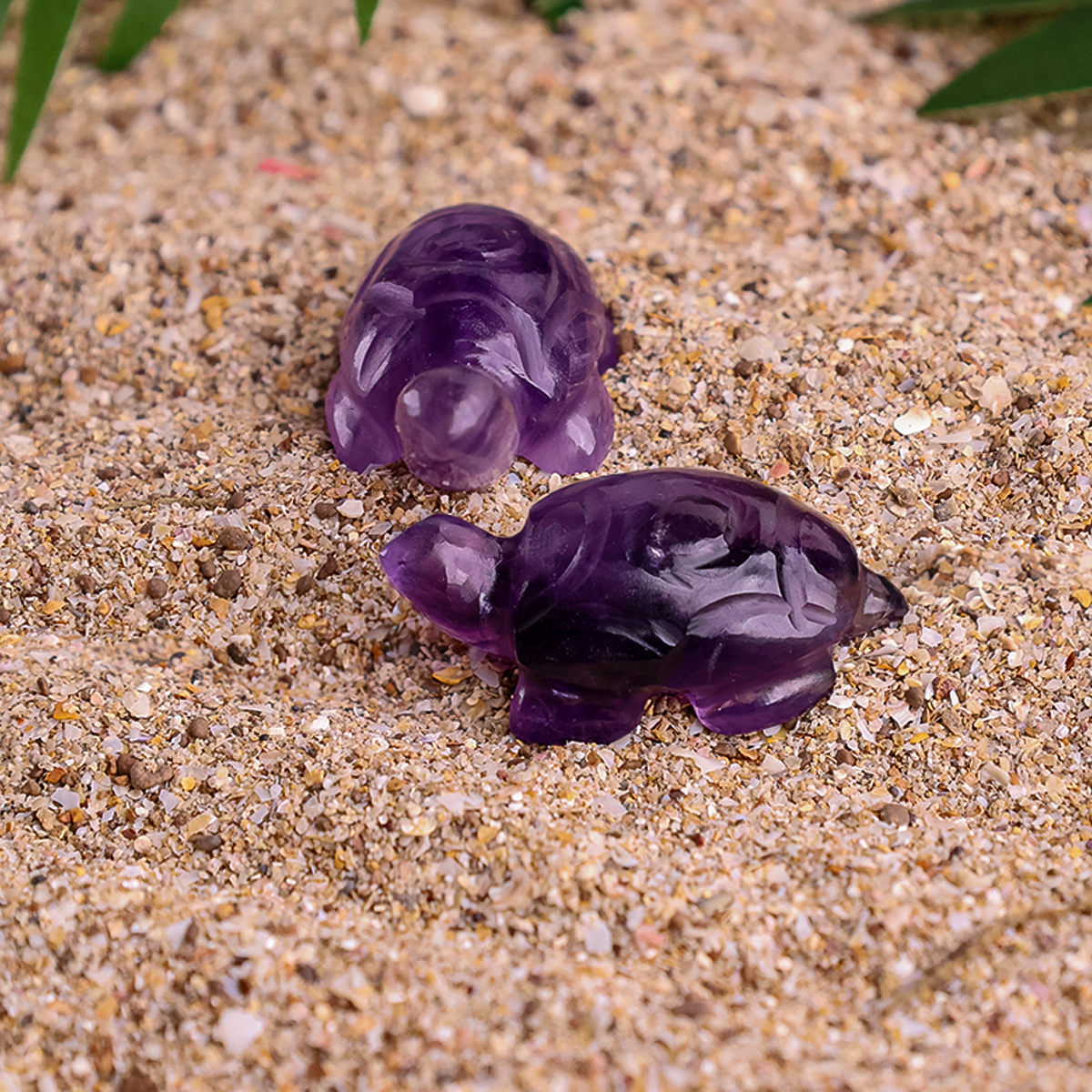 Untitled-3 amethyst small tortoise plain
