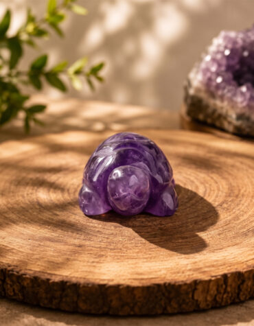 amethyst small tortoise plain