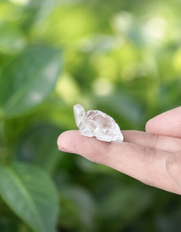 clear quartz small tortoise plain