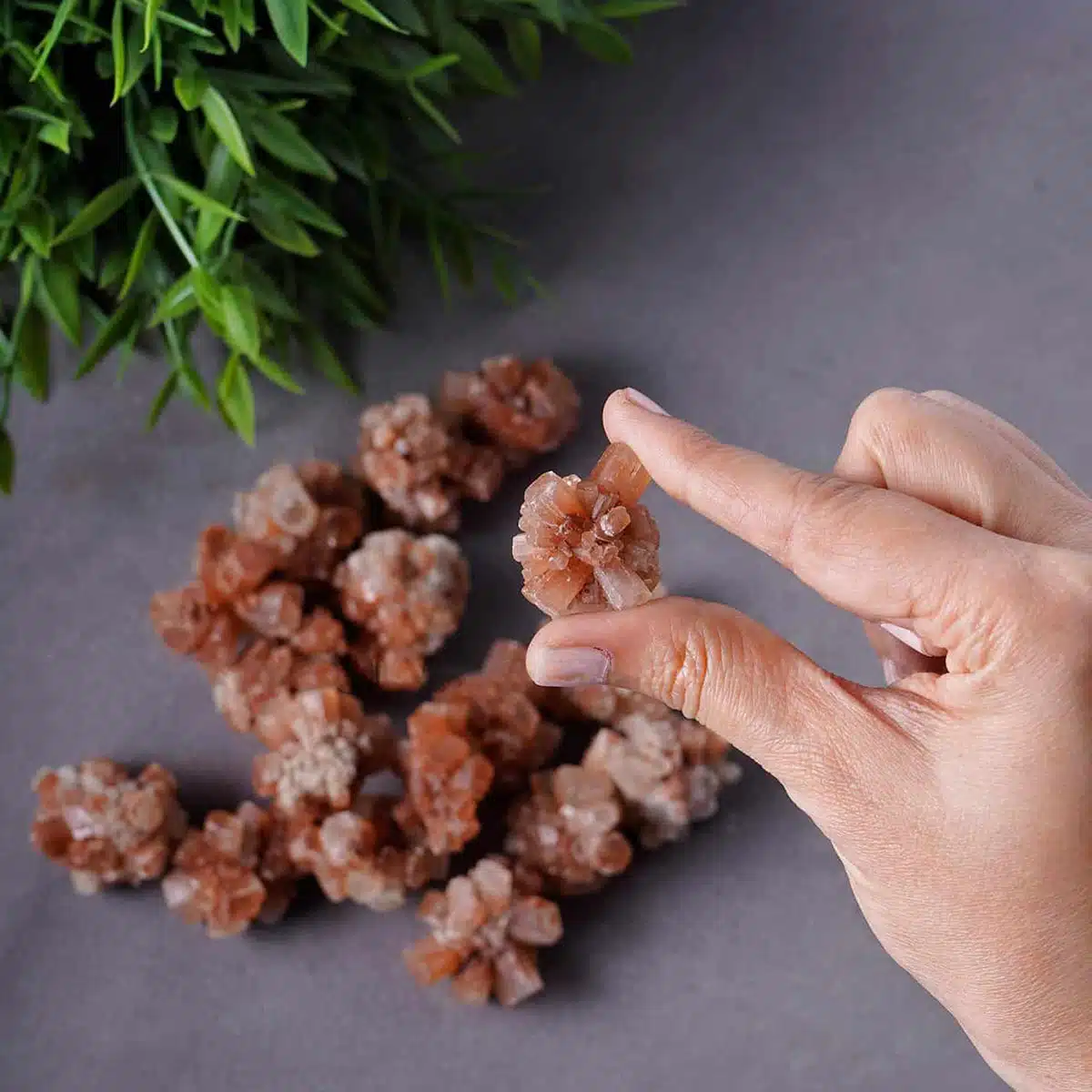 Shubhanjali-Aragonite-Raw-Cluster-2-1