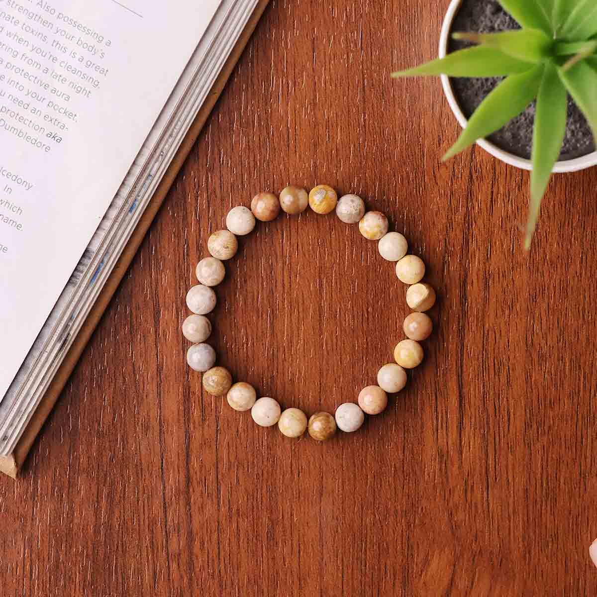 Fossil Jasper Bracelet (2)