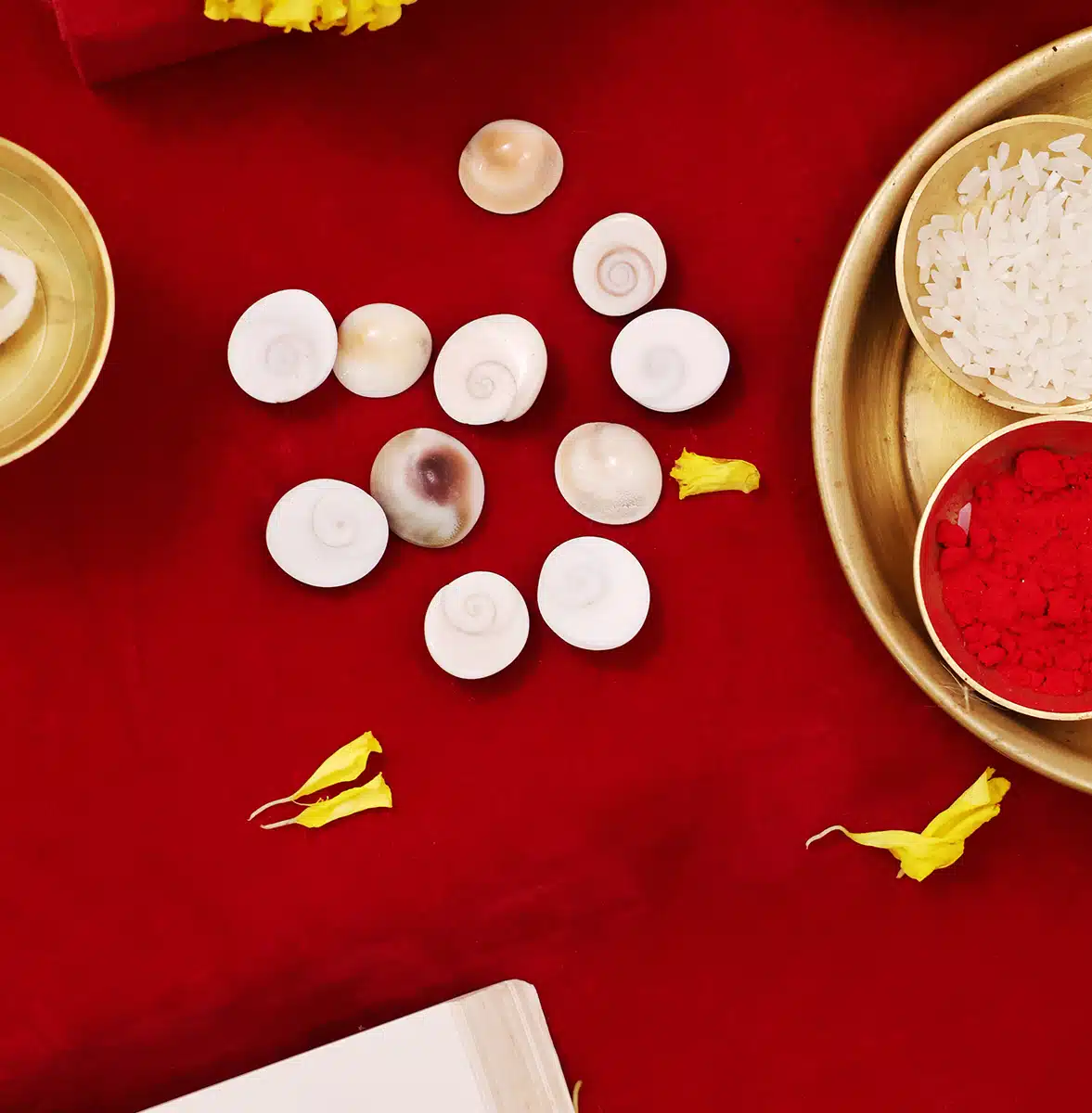 Gomti Chakra-Shubhanjali (2) Shop Natural Gomti Chakra