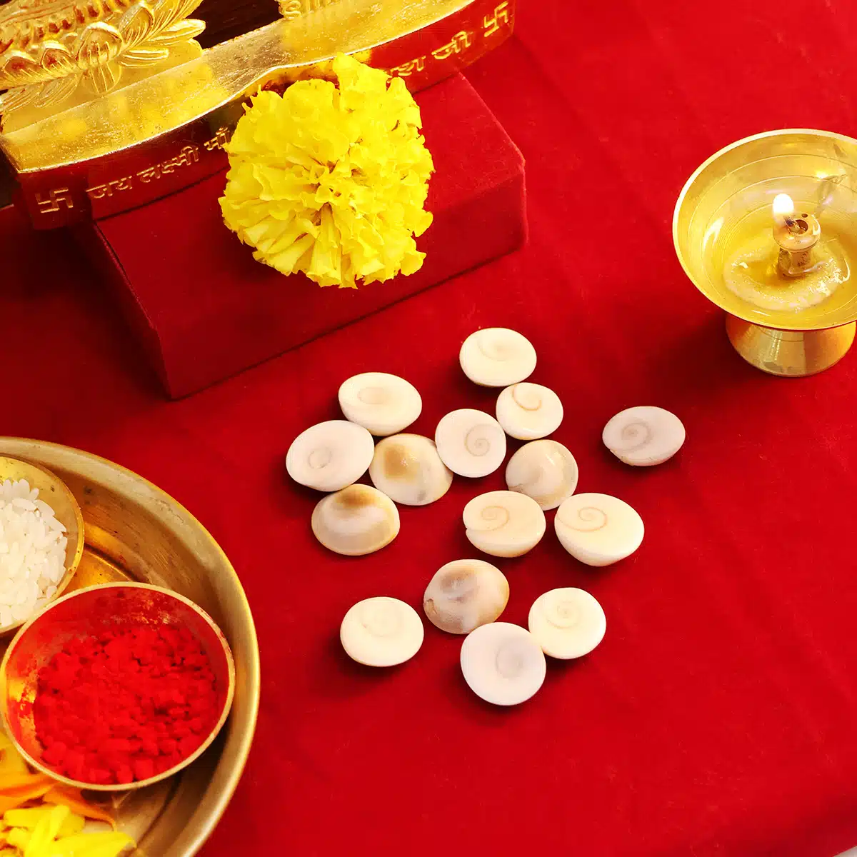 Gomti Chakra-Shubhanjali (4) Shop Natural Gomti Chakra