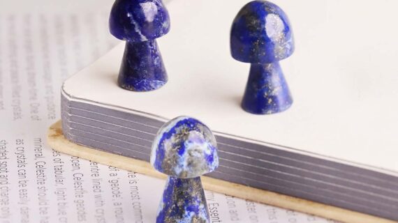 Lapis Lazuli Mushroom