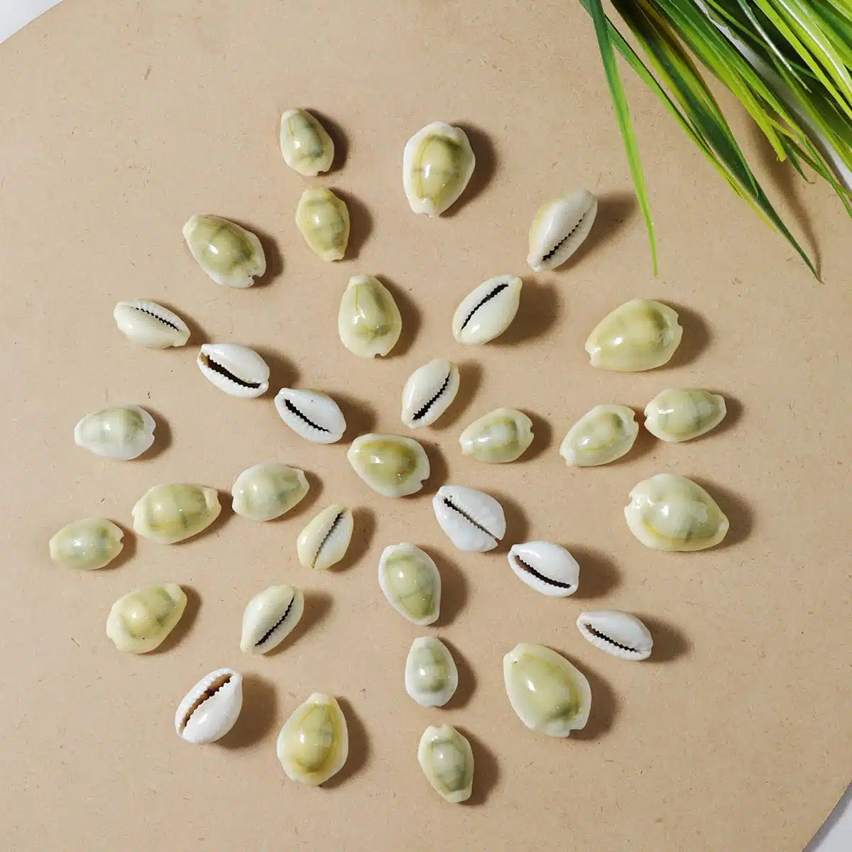 Laxmi Kaudi-Shubhanjali (2) Shop Original Laxmi Kaudi