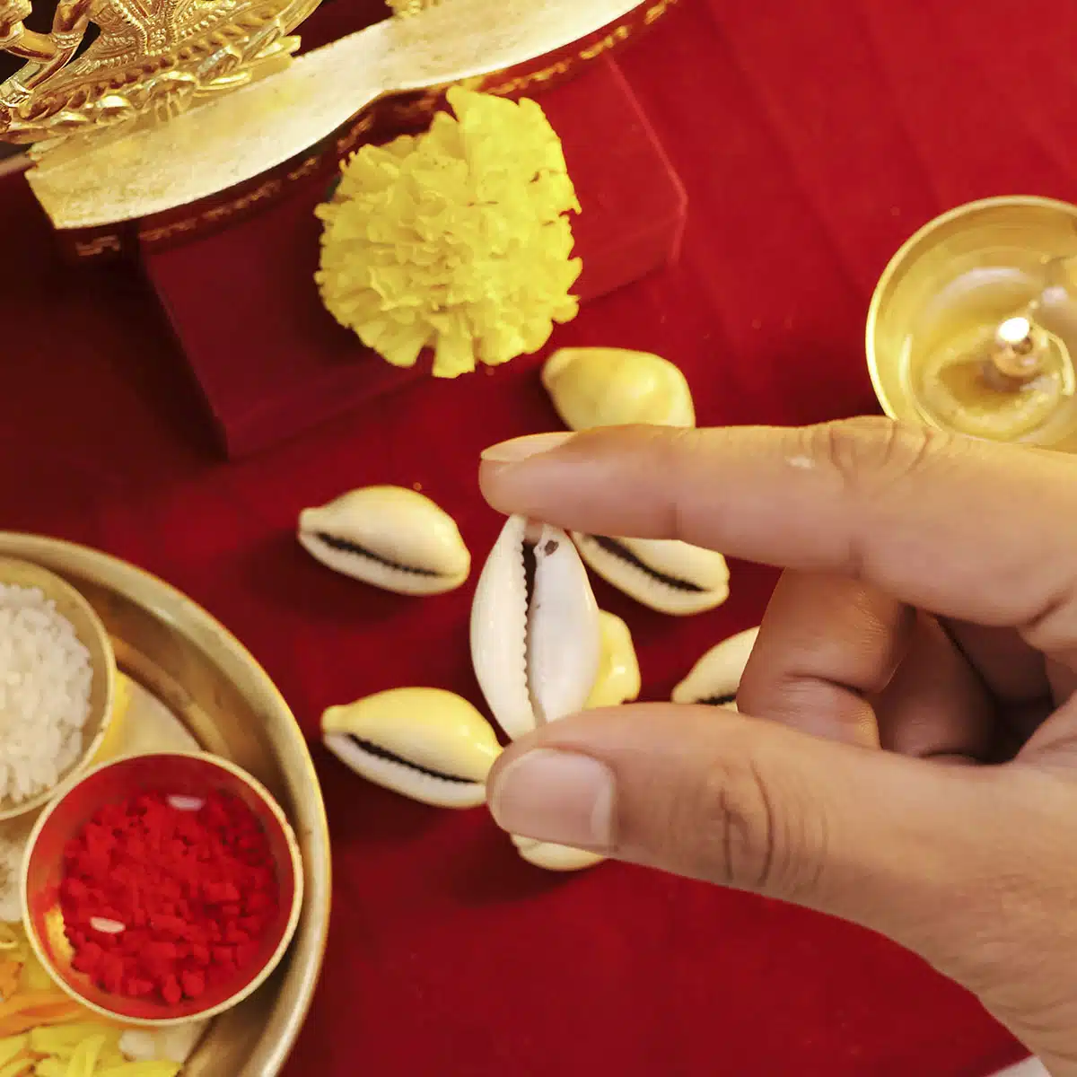 Laxmi Kaudi-Shubhanjali (3) Shop Natural Laxmi Kaudi