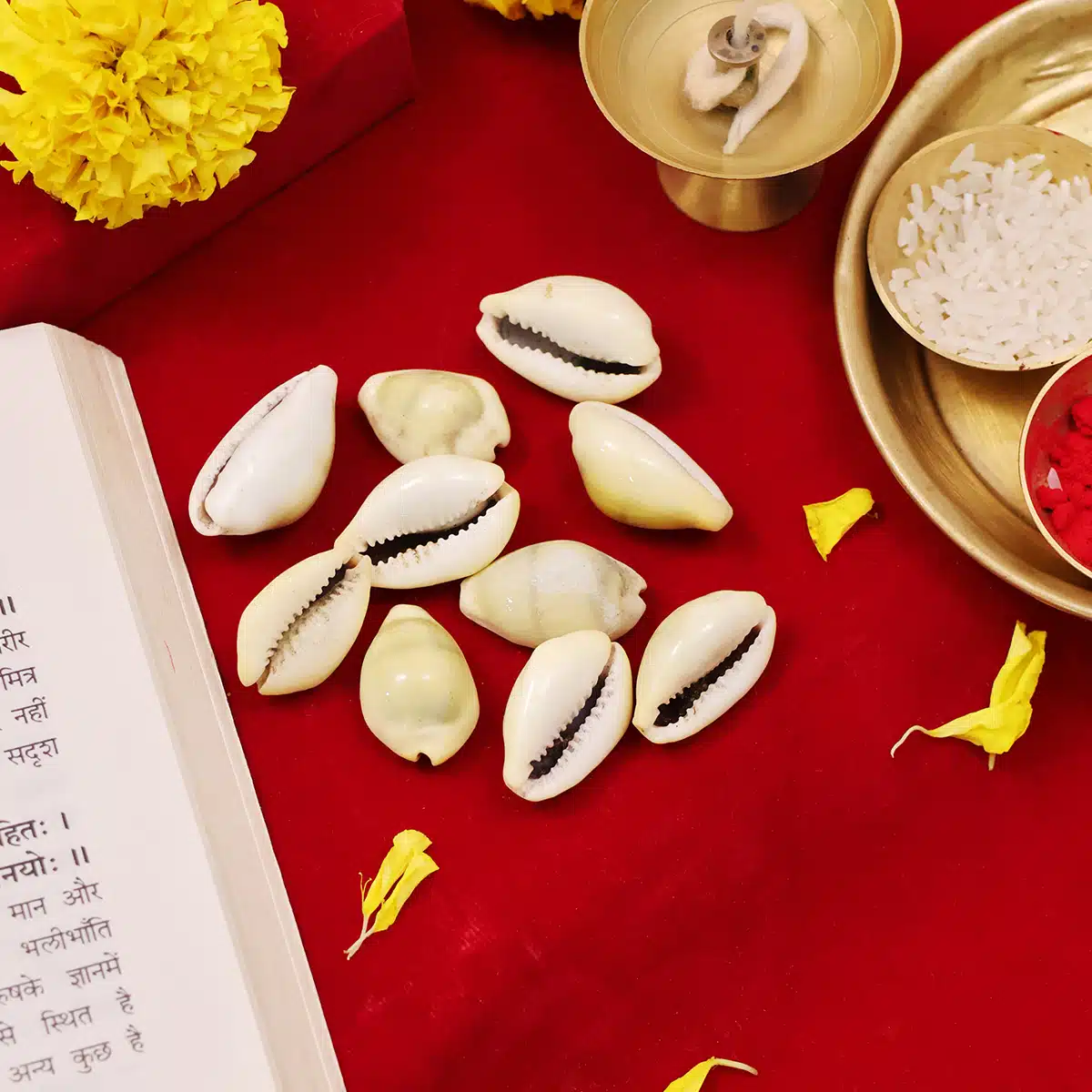 Laxmi Kaudi-Shubhanjali (4) Shop Natural Laxmi Kaudi