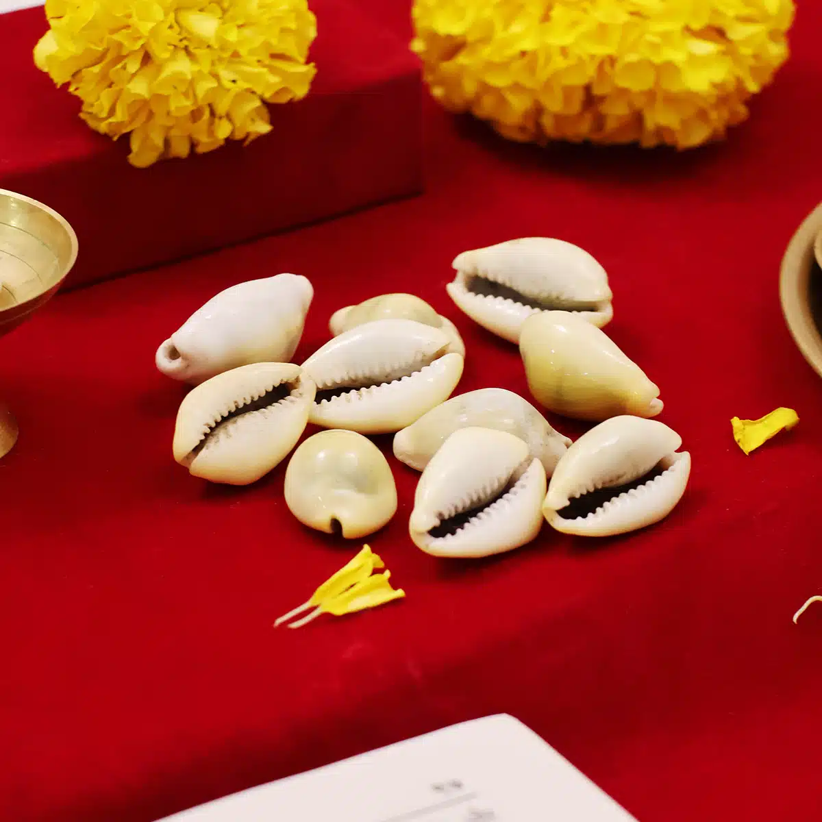 Laxmi Kaudi-Shubhanjali (5) Shop Natural Laxmi Kaudi