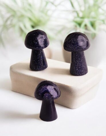 Blue Goldstone Mushroom-Shubhanjali Store