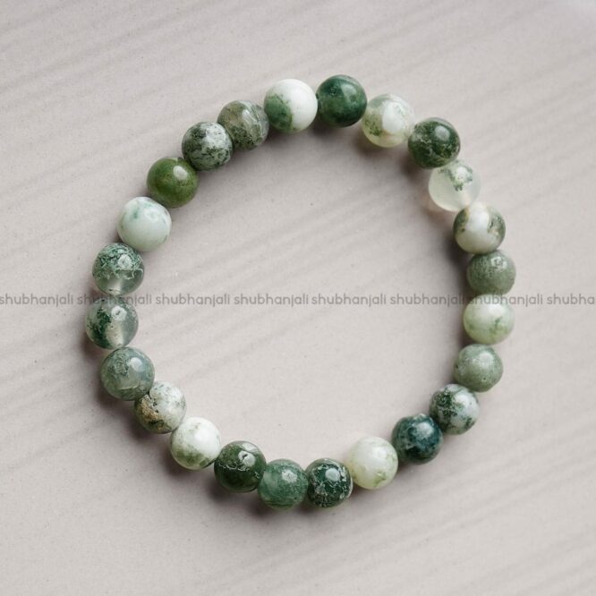 6mm Tree Agate Bracelet | Omnipresence