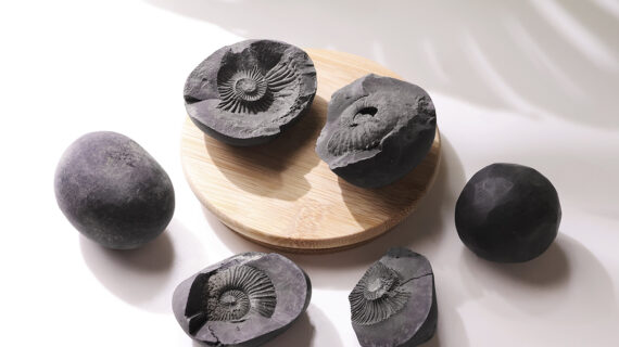 Shaligram Raw Stone