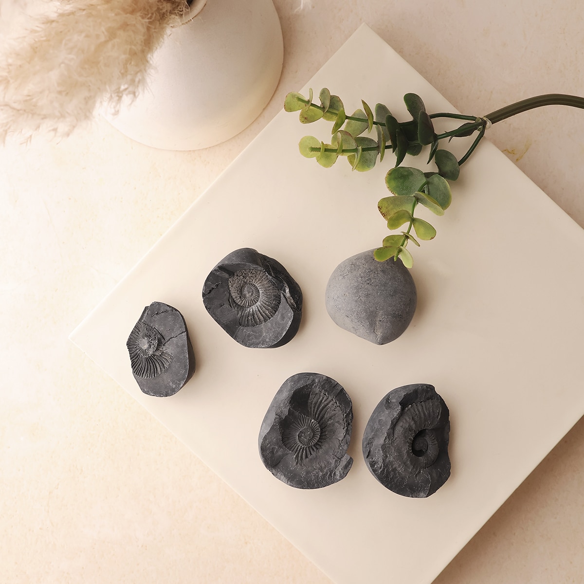 shaligram-raw-stone (2)