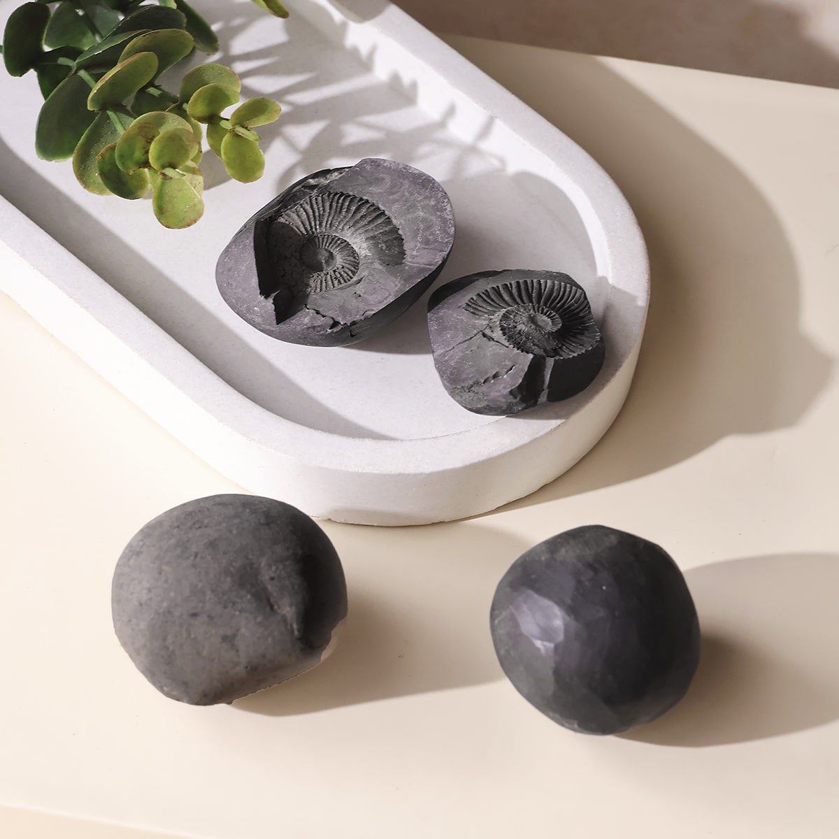 shaligram-raw-stone (4)