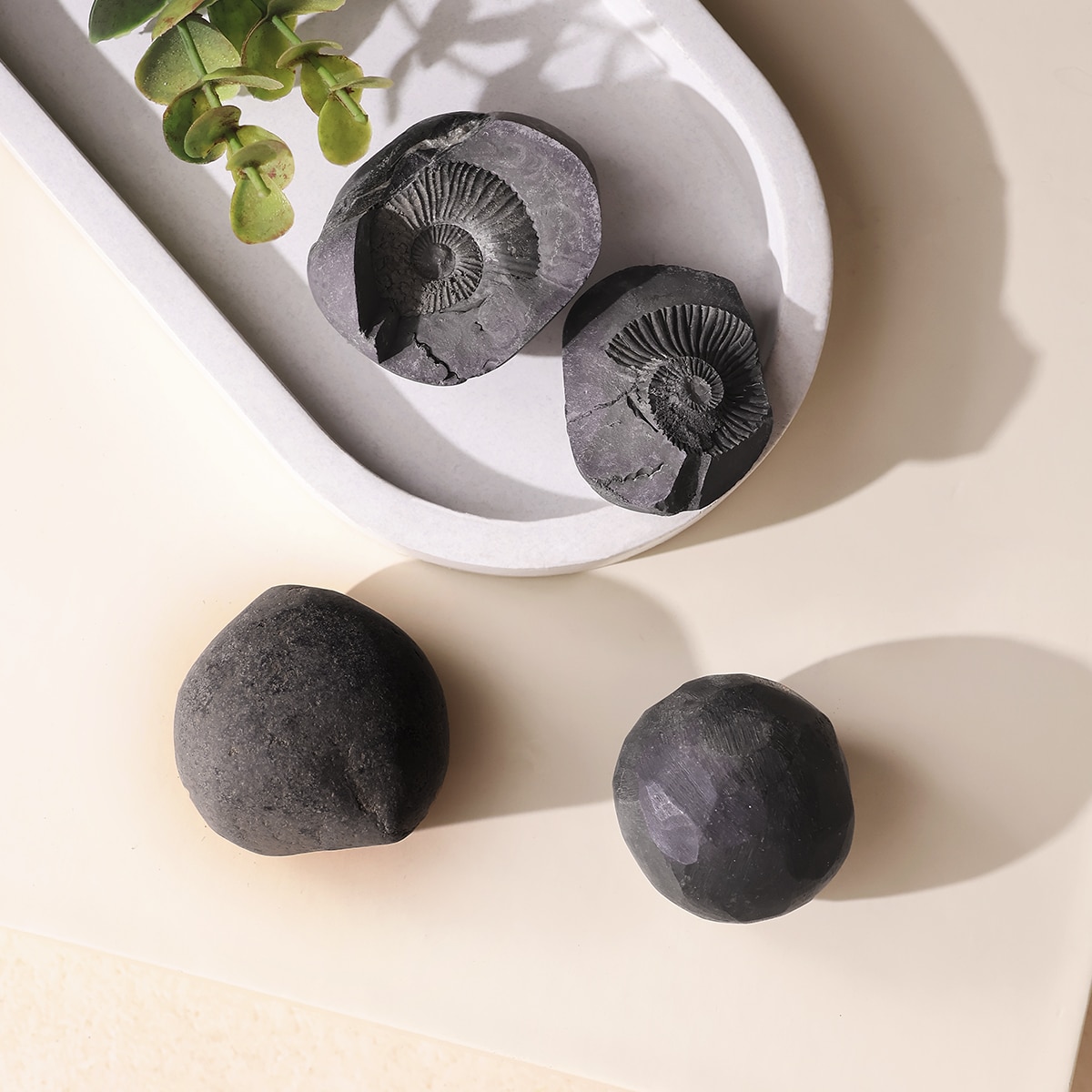 shaligram-raw-stone (5)