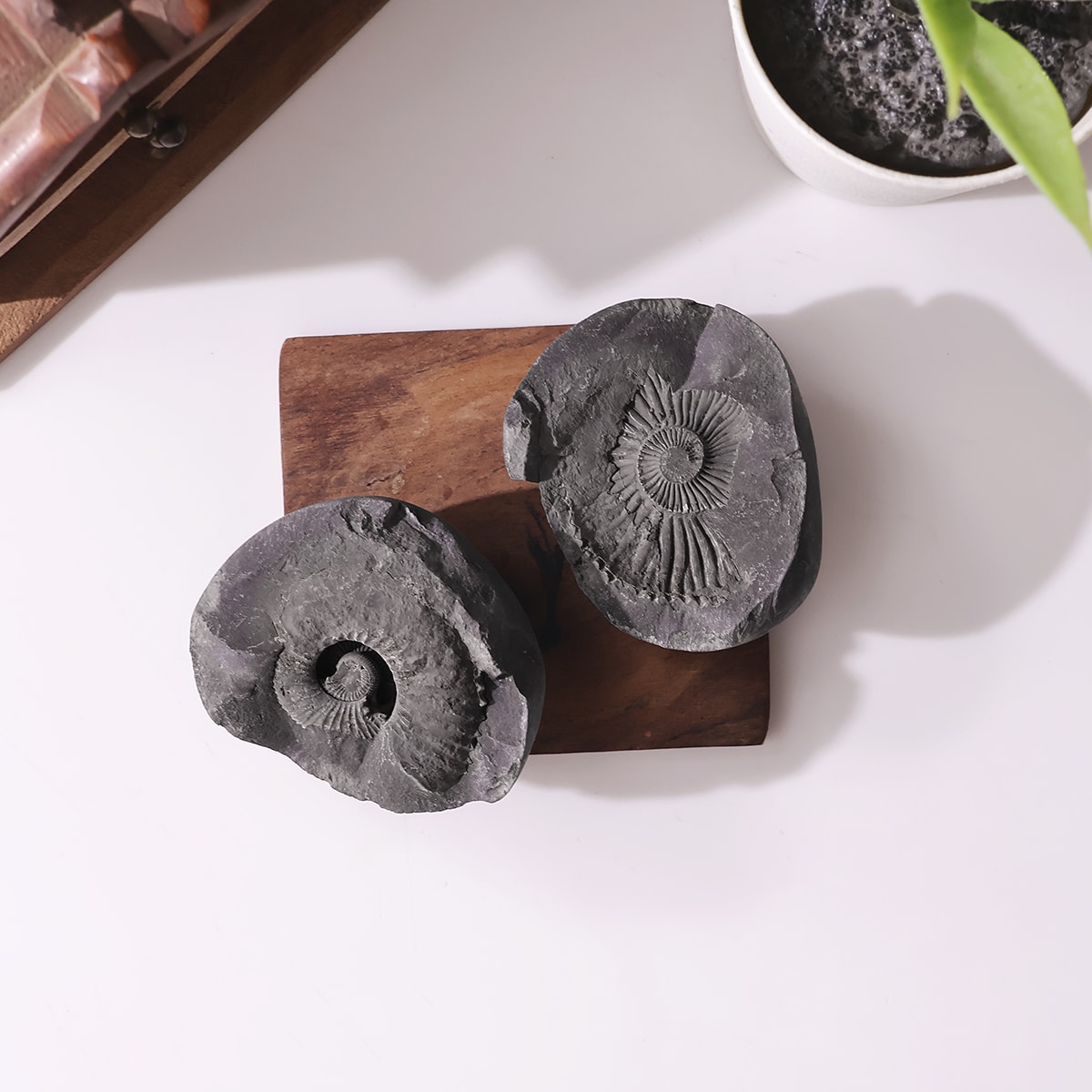 shaligram-raw-stone (6)