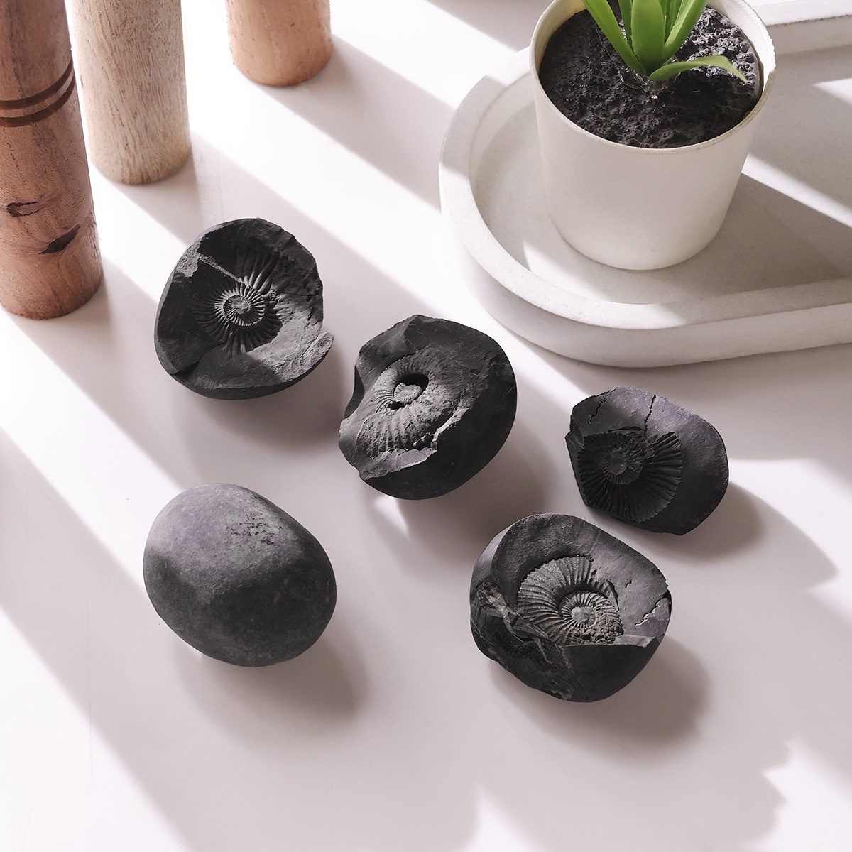 shaligram-raw-stone (7)